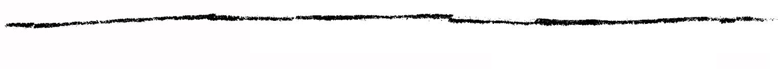 Terri | Resume-writing Expert